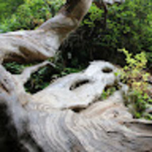 Meet your Posher, Jonah